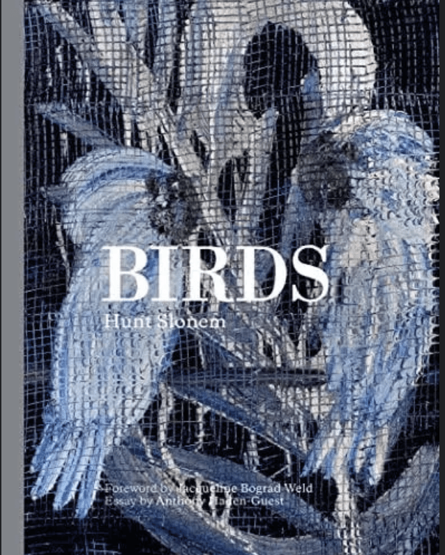 Birds, 2017<br>by Hunt Slonem