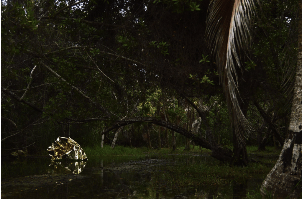El Dorado <br>
laguna de Nopalitos, <br>Quintana Roo, Mexico <br> 2016